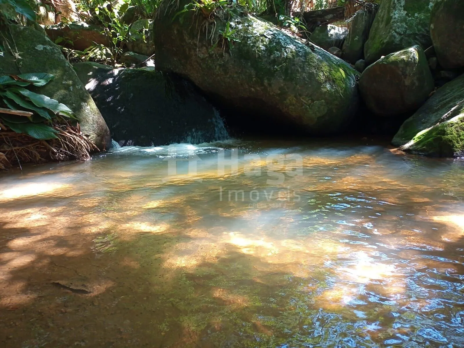 Farm for sale of 4,000 m² in Nova Trento, SC, Brazil