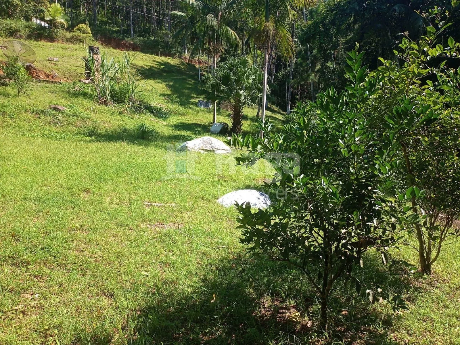 Farm for sale of 4,000 m² in Nova Trento, SC, Brazil