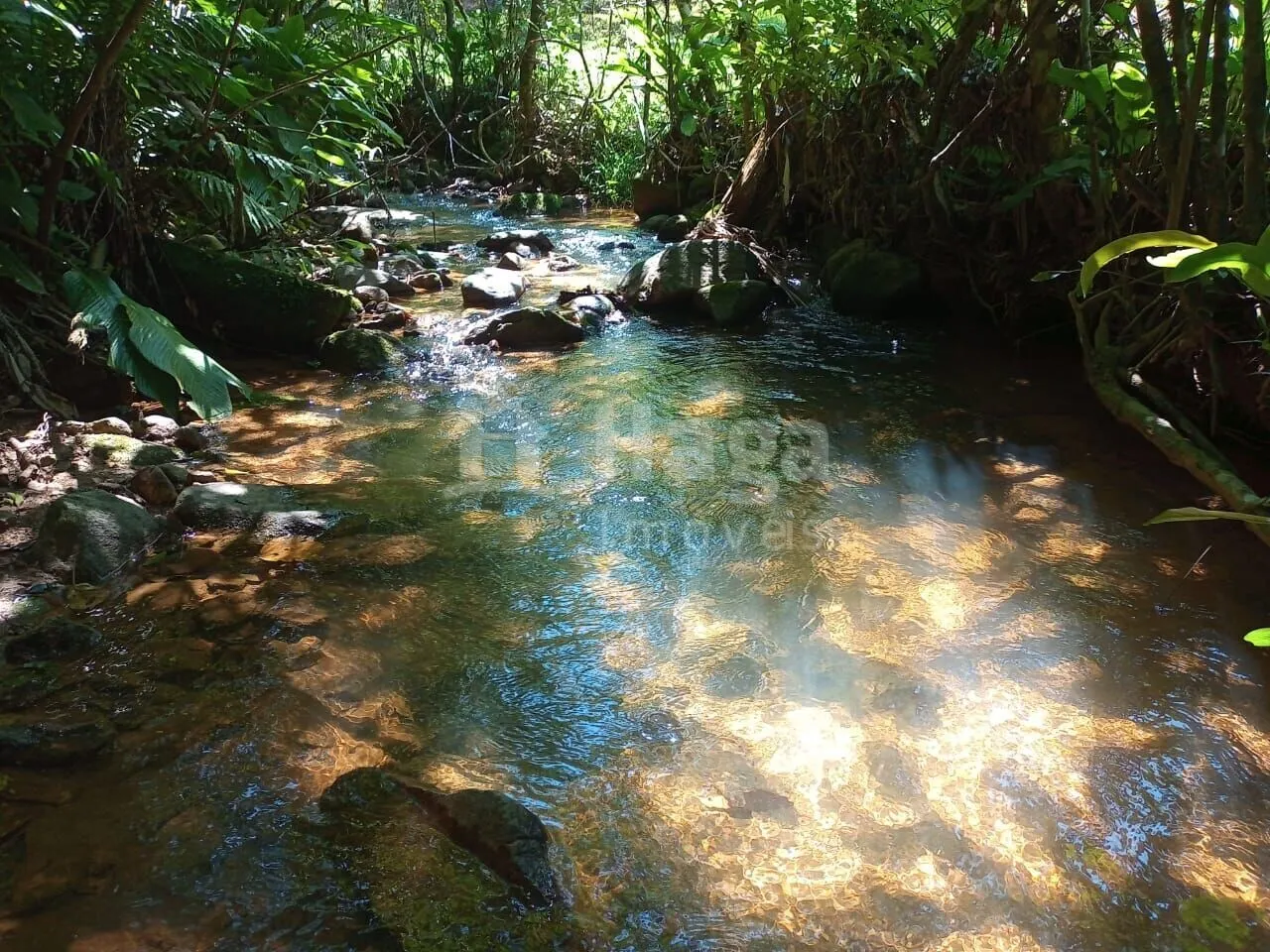 Farm for sale of 4,000 m² in Nova Trento, SC, Brazil