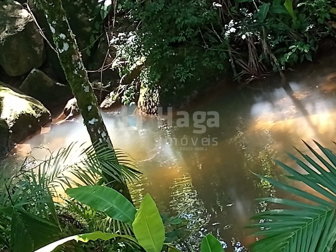 Farm for sale of 4,000 m² in Nova Trento, SC, Brazil