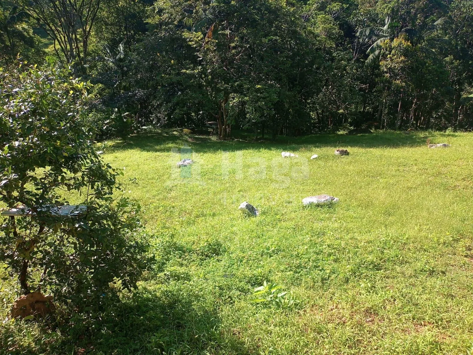 Farm for sale of 4,000 m² in Nova Trento, SC, Brazil