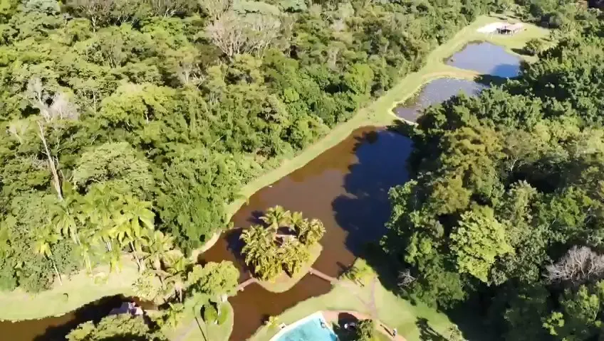 Sítio à venda de 15 ha em Cambará, PR, Brasil