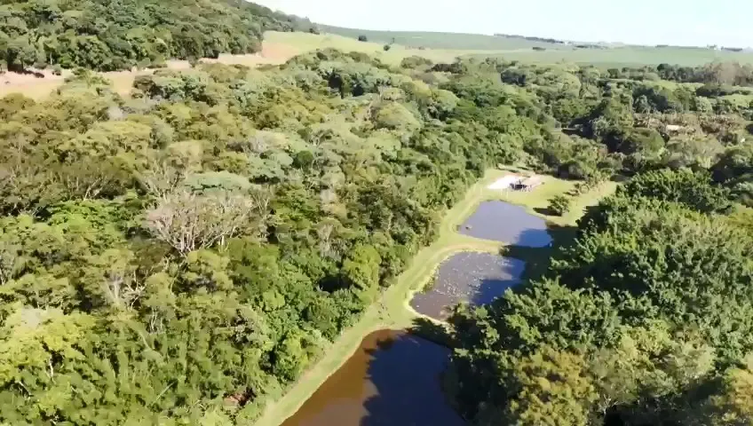 Sítio à venda de 15 ha em Cambará, PR, Brasil