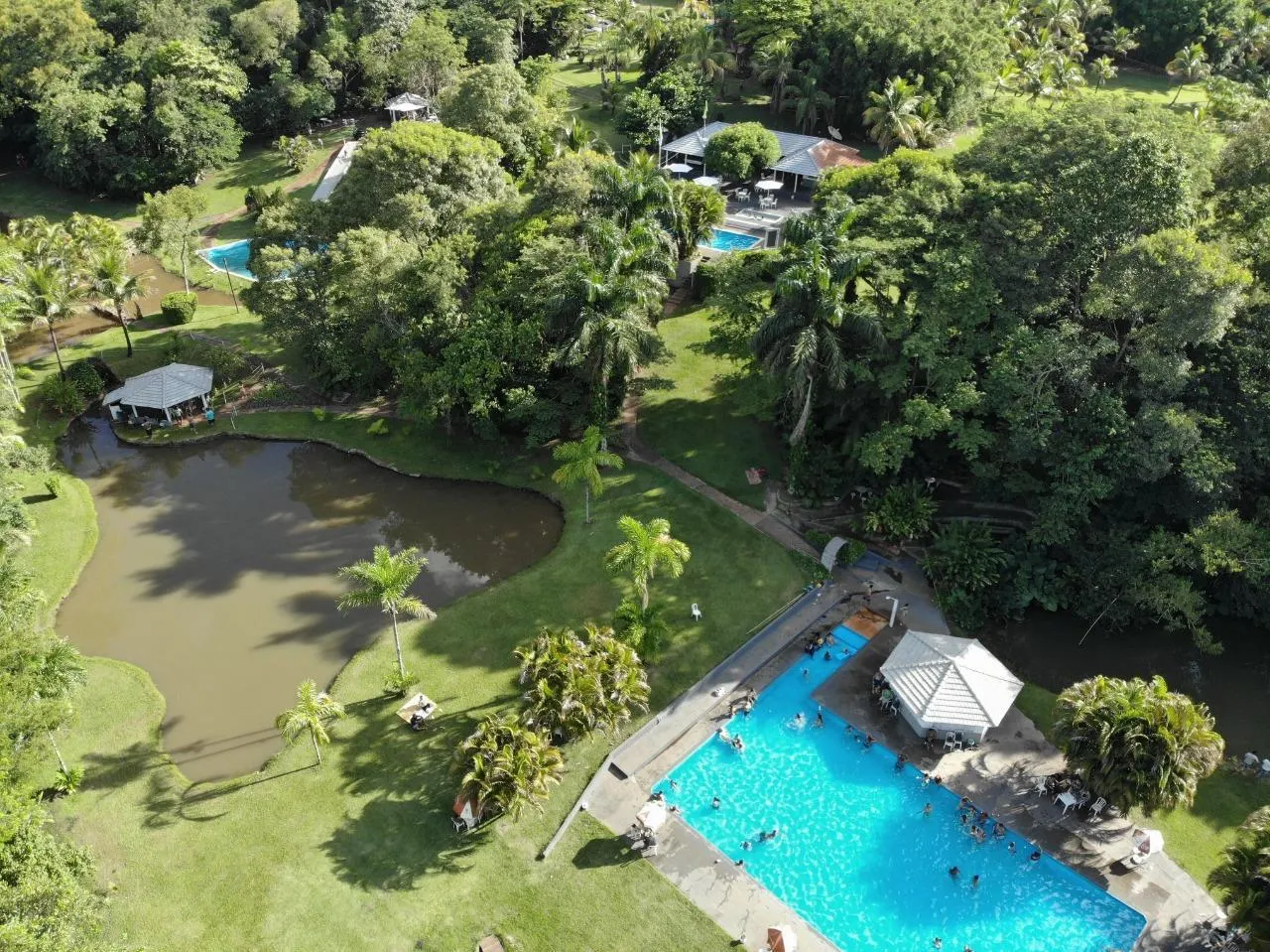 Sítio à venda de 15 ha em Cambará, PR, Brasil
