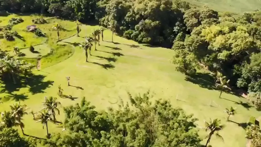 Sítio à venda de 15 ha em Cambará, PR, Brasil