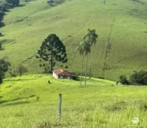 Fazenda à venda de 242 ha em Santa Rita de Caldas, MG, Brasil