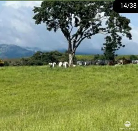Fazenda à venda de 242 ha em Santa Rita de Caldas, MG, Brasil
