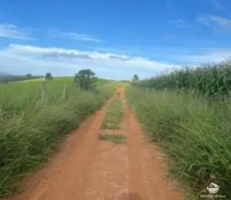 Fazenda à venda de 242 ha em Santa Rita de Caldas, MG, Brasil