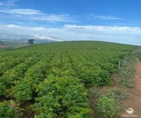 Fazenda à venda de 242 ha em Santa Rita de Caldas, MG, Brasil