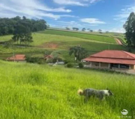 Fazenda à venda de 242 ha em Santa Rita de Caldas, MG, Brasil