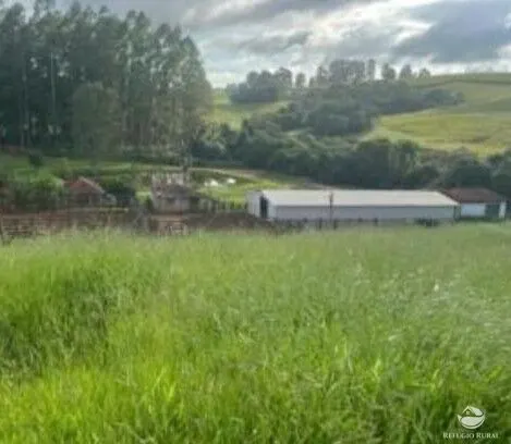 Fazenda à venda de 242 ha em Santa Rita de Caldas, MG, Brasil
