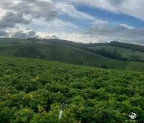 Fazenda à venda de 242 ha em Santa Rita de Caldas, MG, Brasil