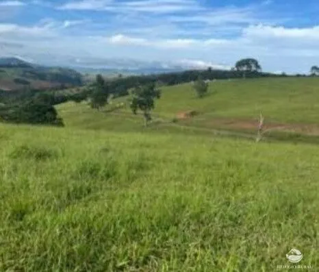 Fazenda à venda de 242 ha em Santa Rita de Caldas, MG, Brasil