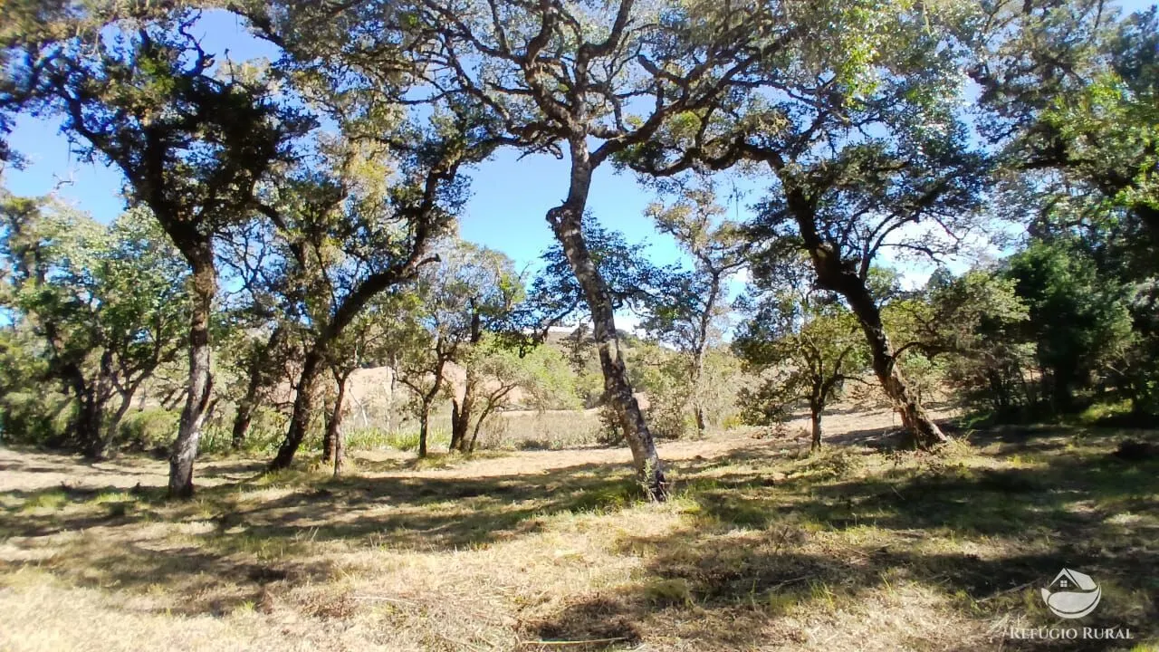 Sítio à venda de 10 ha em Gonçalves, MG, Brasil