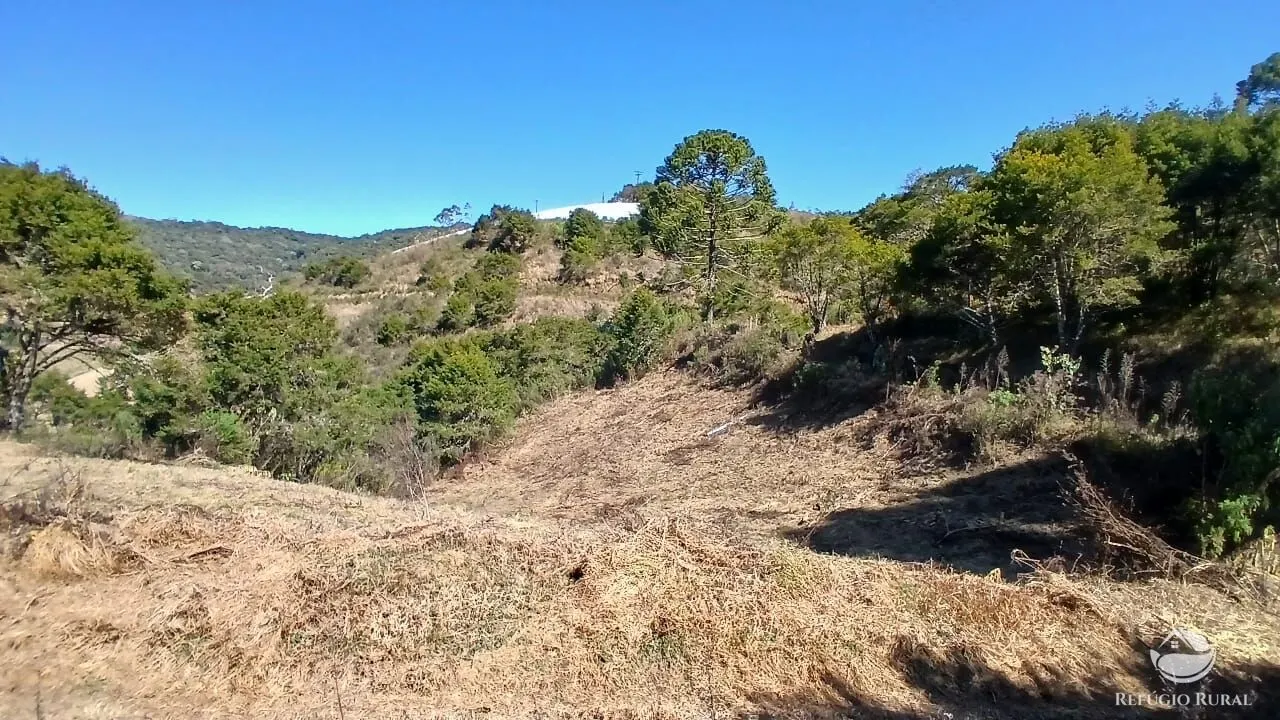 Sítio à venda de 10 ha em Gonçalves, MG, Brasil