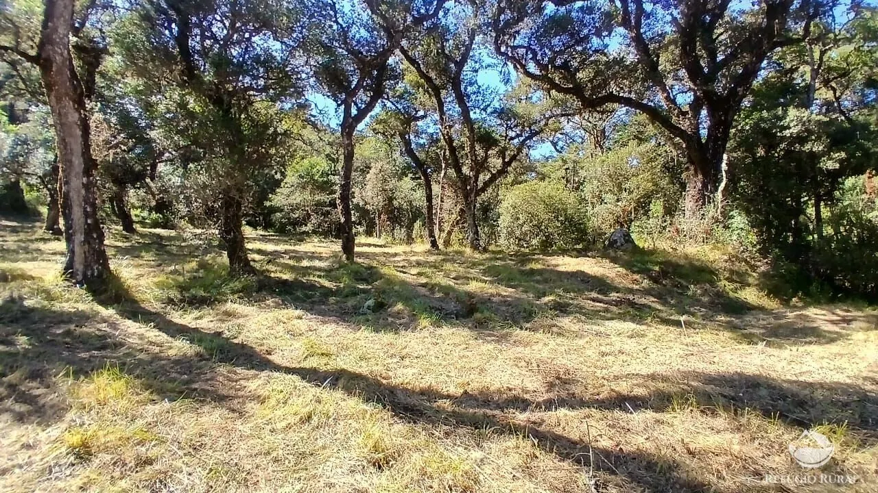 Sítio à venda de 10 ha em Gonçalves, MG, Brasil