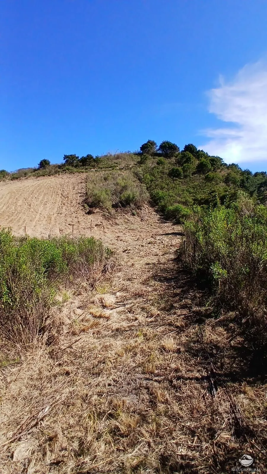 Sítio à venda de 10 ha em Gonçalves, MG, Brasil