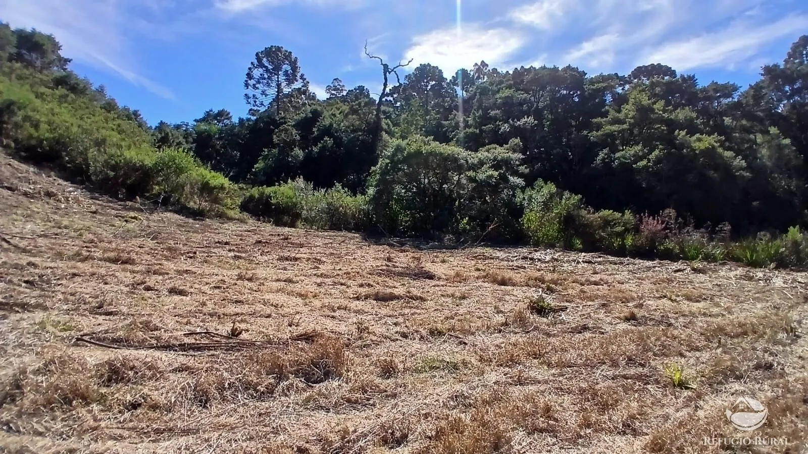 Sítio à venda de 10 ha em Gonçalves, MG, Brasil
