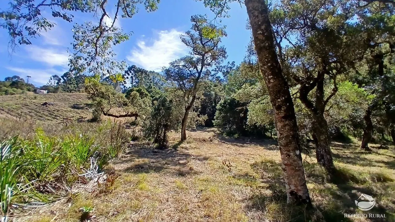 Sítio à venda de 10 ha em Gonçalves, MG, Brasil