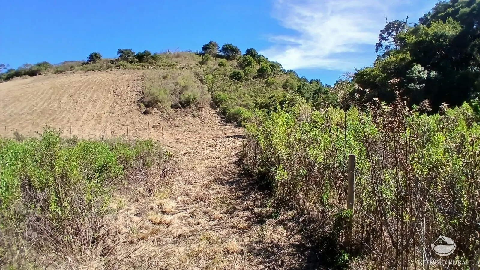 Sítio à venda de 10 ha em Gonçalves, MG, Brasil