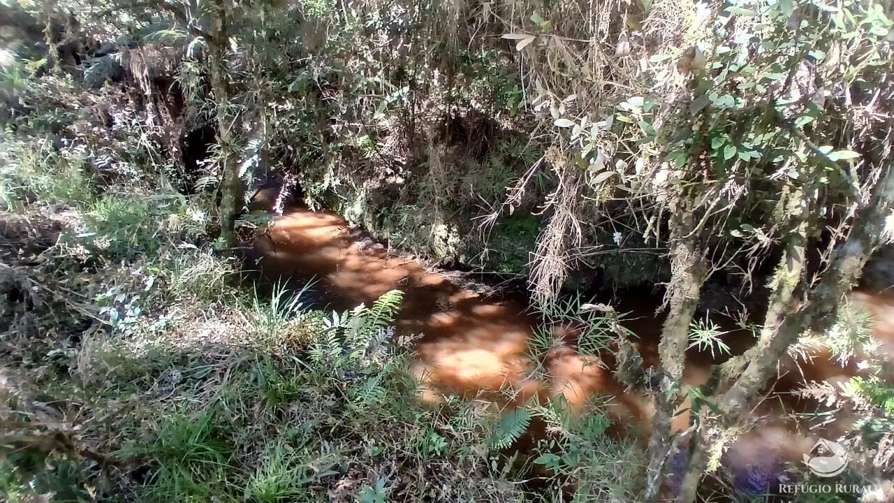Sítio à venda de 10 ha em Gonçalves, MG, Brasil