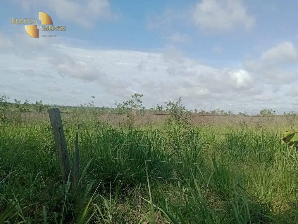 Farm for sale of 12,355 acres in Cotriguaçu, MT, Brazil
