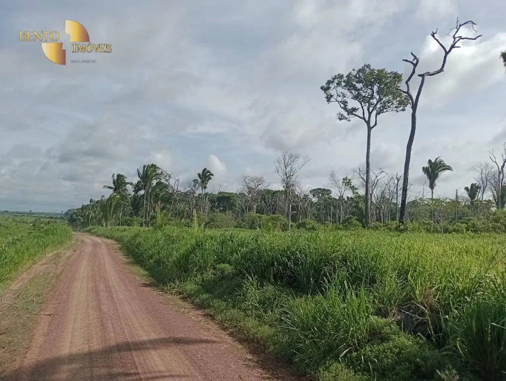 Farm for sale of 12,355 acres in Cotriguaçu, MT, Brazil