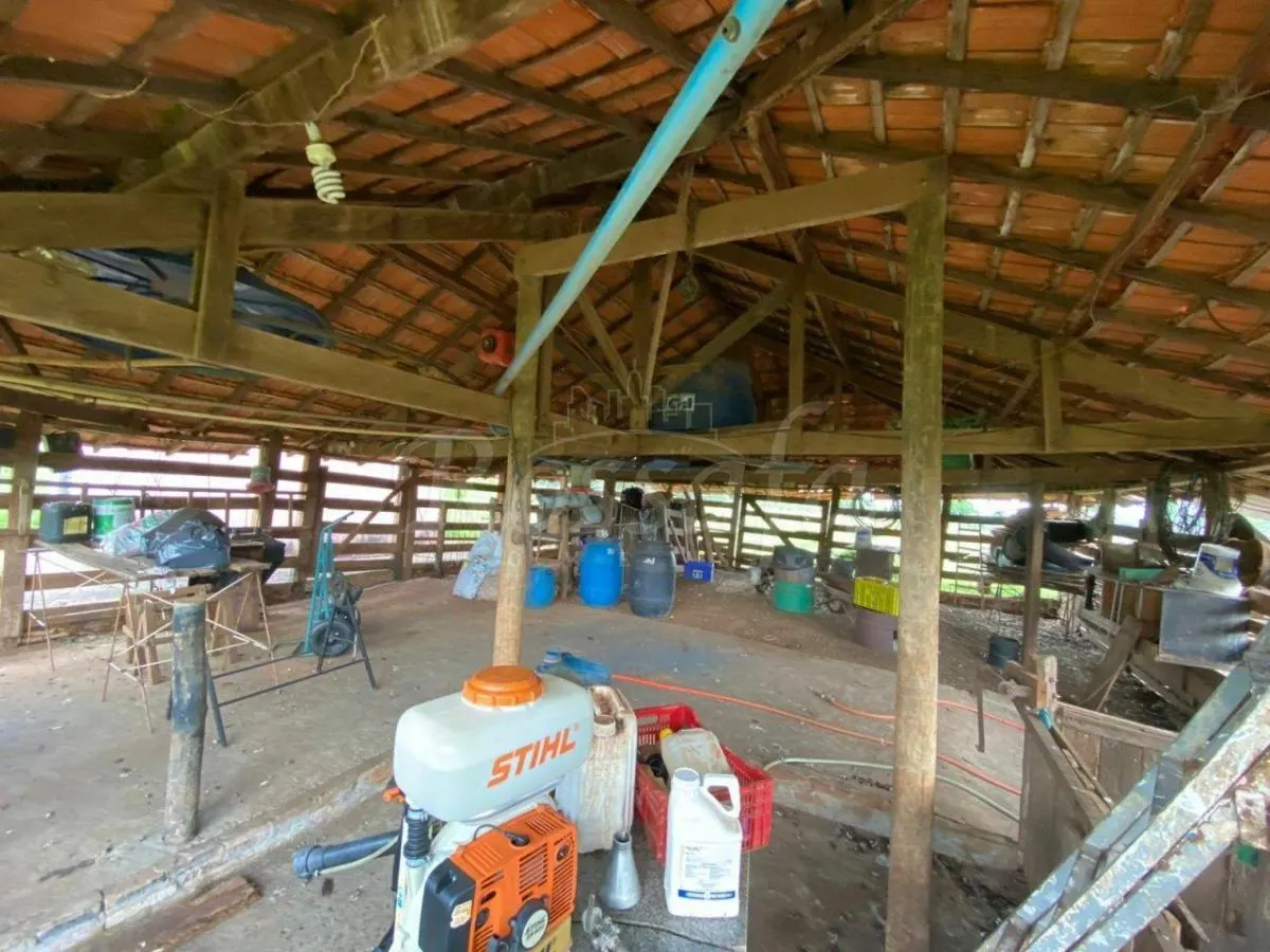 Sítio à venda de 10 ha em Três Fronteiras, SP, Brasil