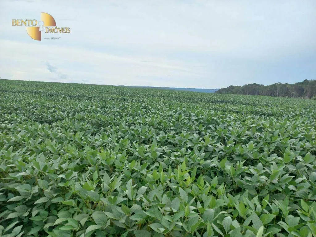Fazenda à venda e para Arrendar de 3.025 ha em Nova Monte Verde, MT, Brasil