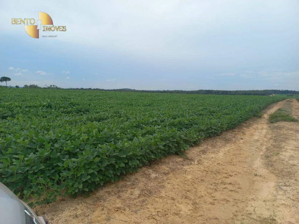 Fazenda à venda e para Arrendar de 3.025 ha em Nova Monte Verde, MT, Brasil