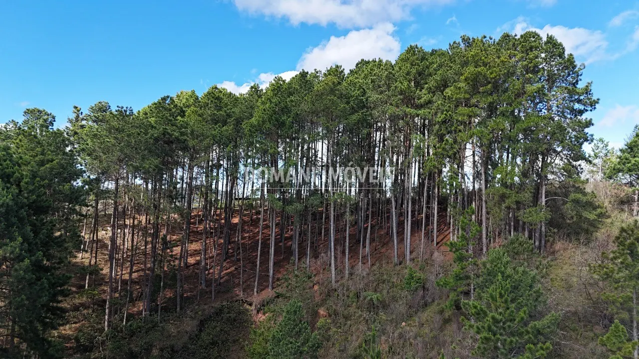 Terreno à venda de 2 ha em Campos do Jordão, SP, Brasil