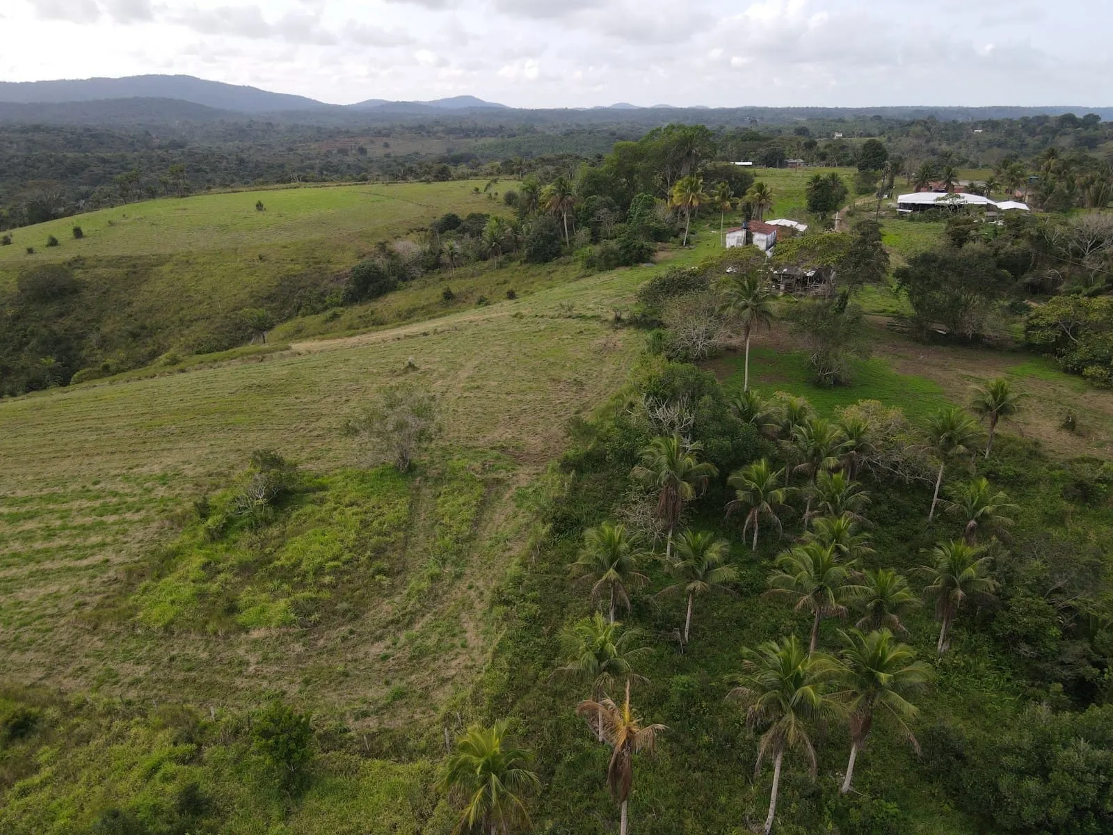 Fazenda à venda de 45 ha em Ilhéus, BA, Brasil