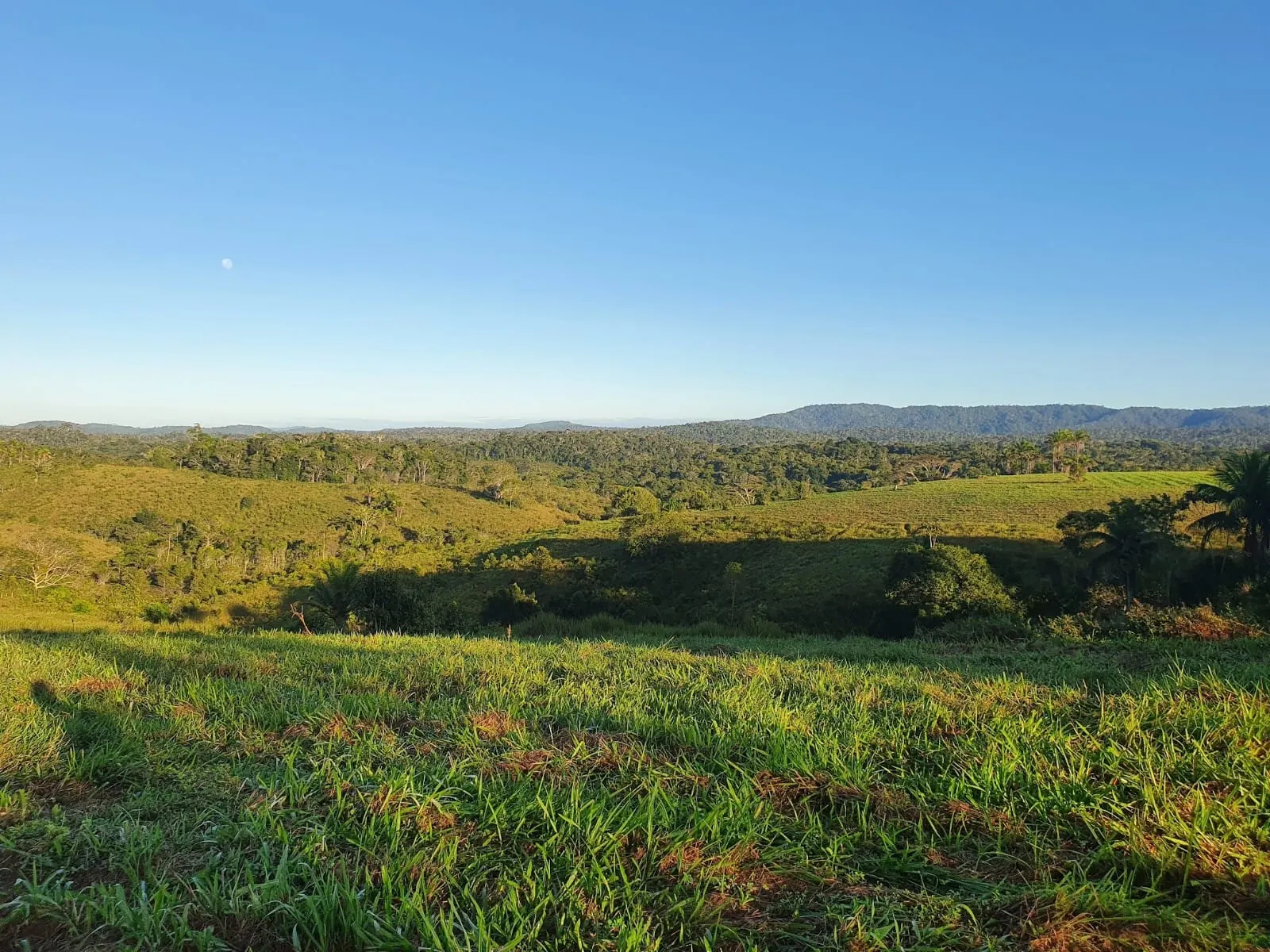 Fazenda à venda de 45 ha em Ilhéus, BA, Brasil