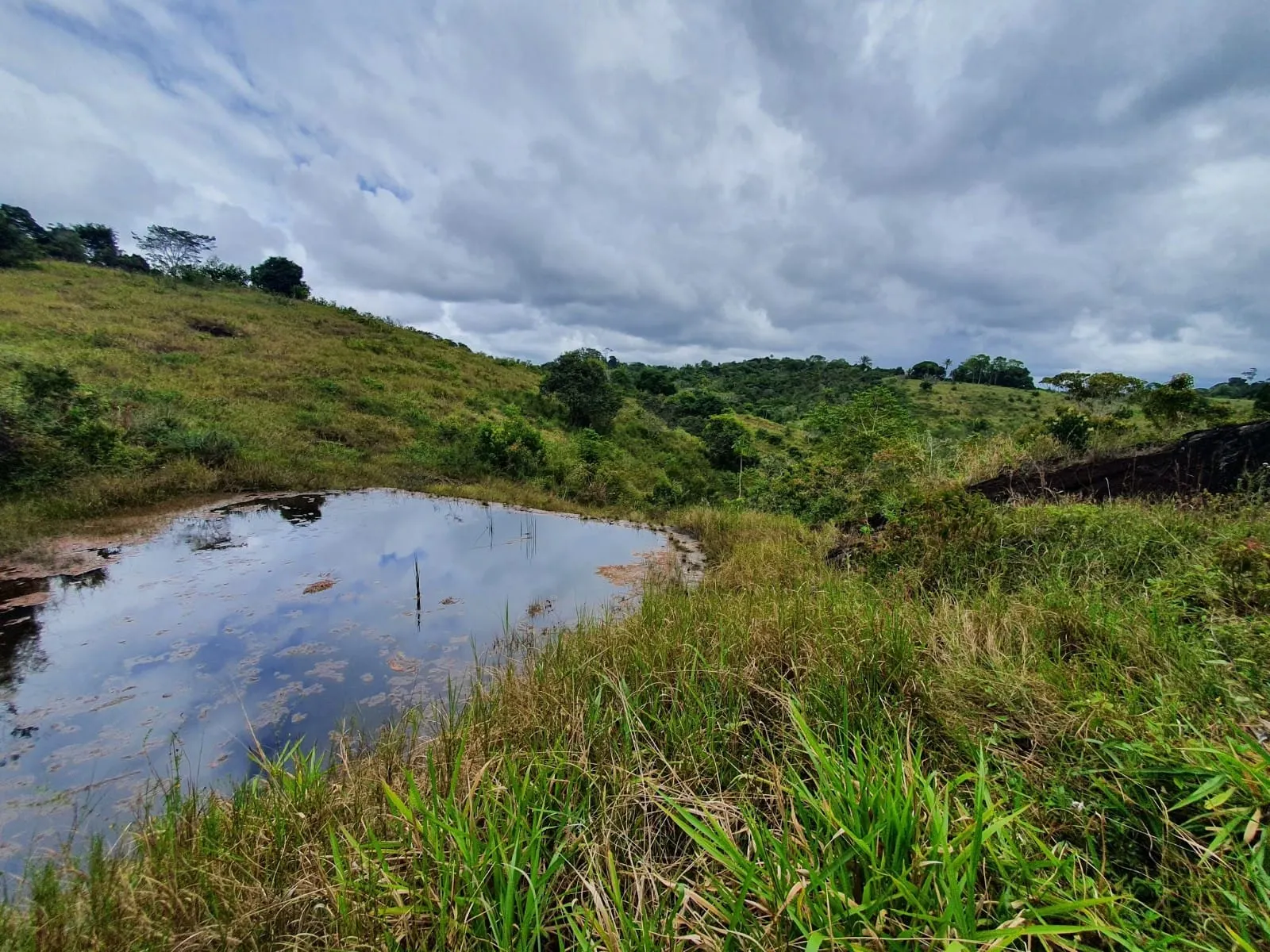 Fazenda à venda de 45 ha em Ilhéus, BA, Brasil