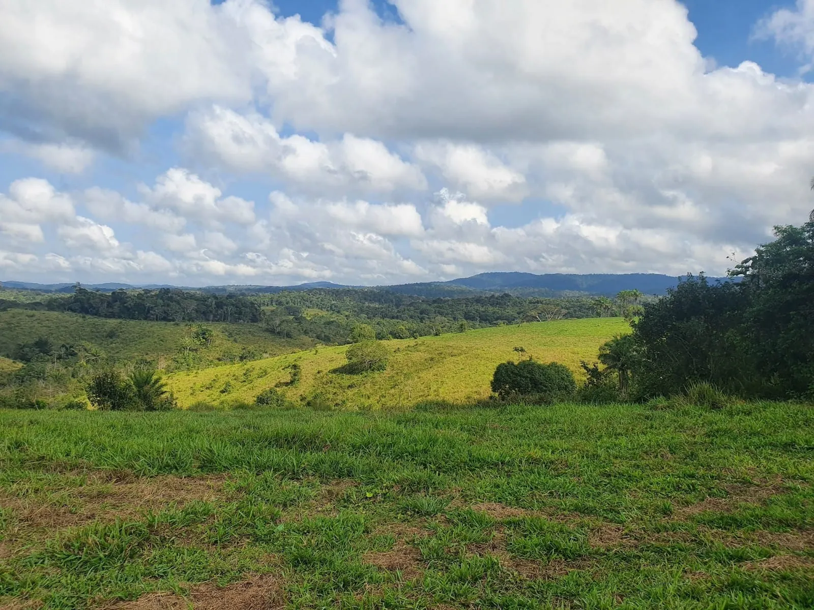 Fazenda à venda de 45 ha em Ilhéus, BA, Brasil