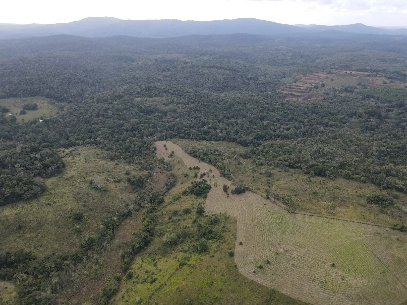 Fazenda à venda de 45 ha em Ilhéus, BA, Brasil