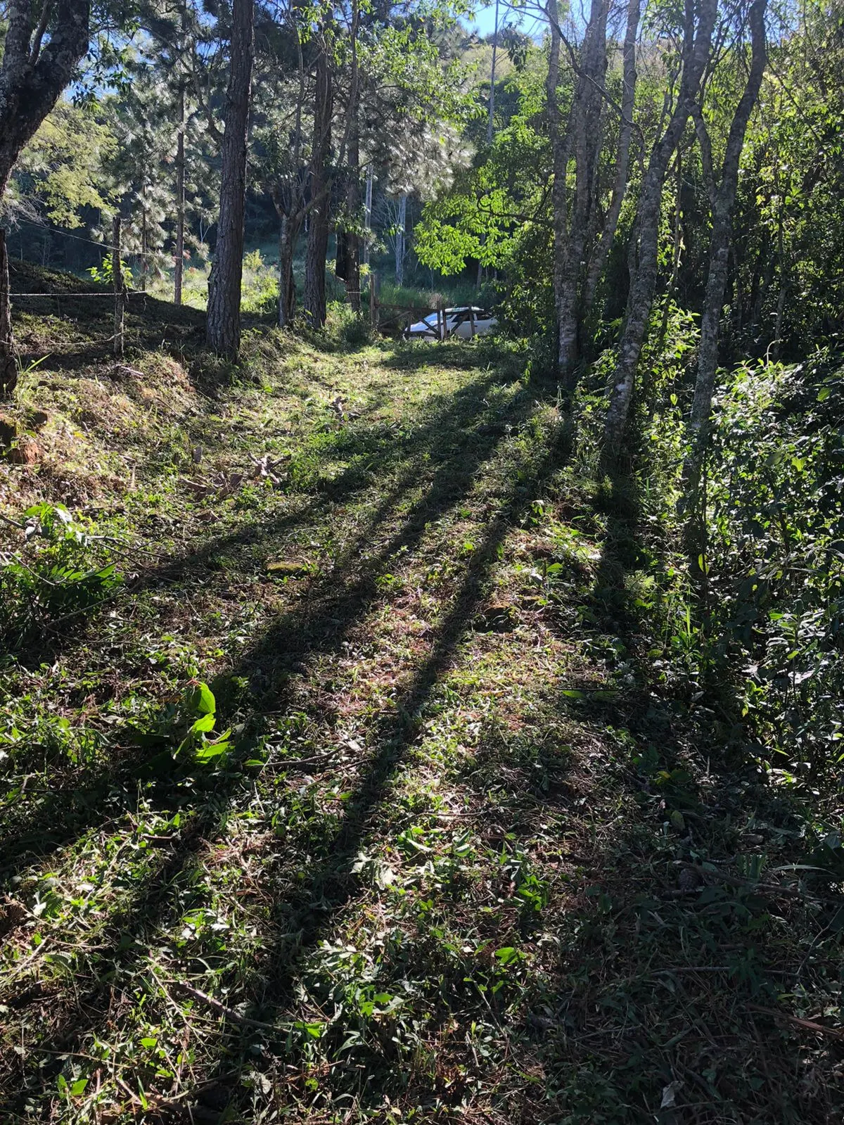 Terreno à venda de 3 ha em Monteiro Lobato, SP, Brasil