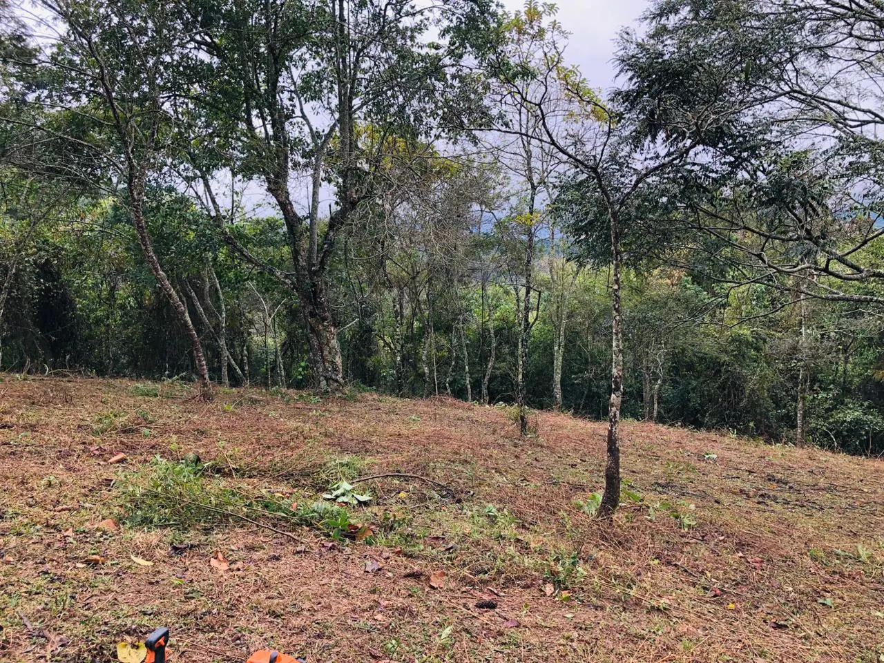 Terreno à venda de 3 ha em Monteiro Lobato, SP, Brasil