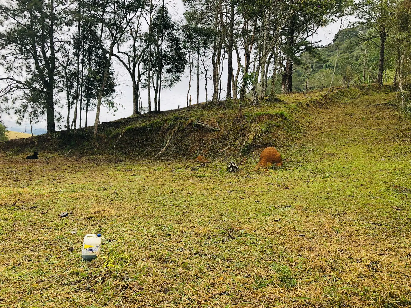 Terreno à venda de 3 ha em Monteiro Lobato, SP, Brasil
