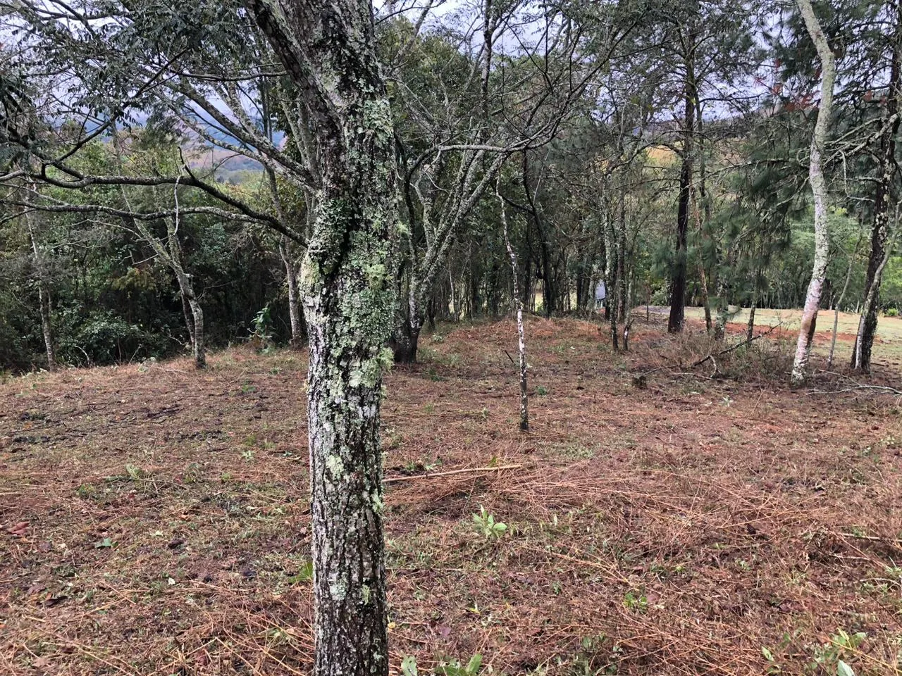 Terreno à venda de 3 ha em Monteiro Lobato, SP, Brasil