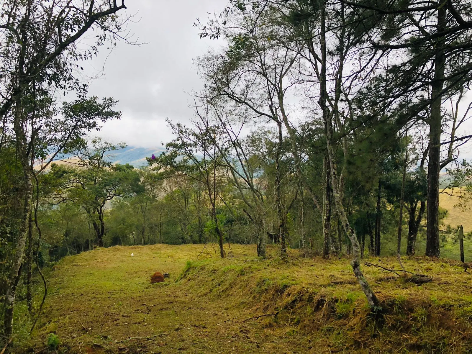 Terreno à venda de 3 ha em Monteiro Lobato, SP, Brasil