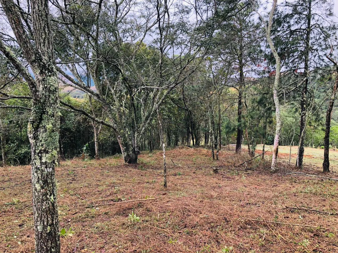 Terreno à venda de 3 ha em Monteiro Lobato, SP, Brasil