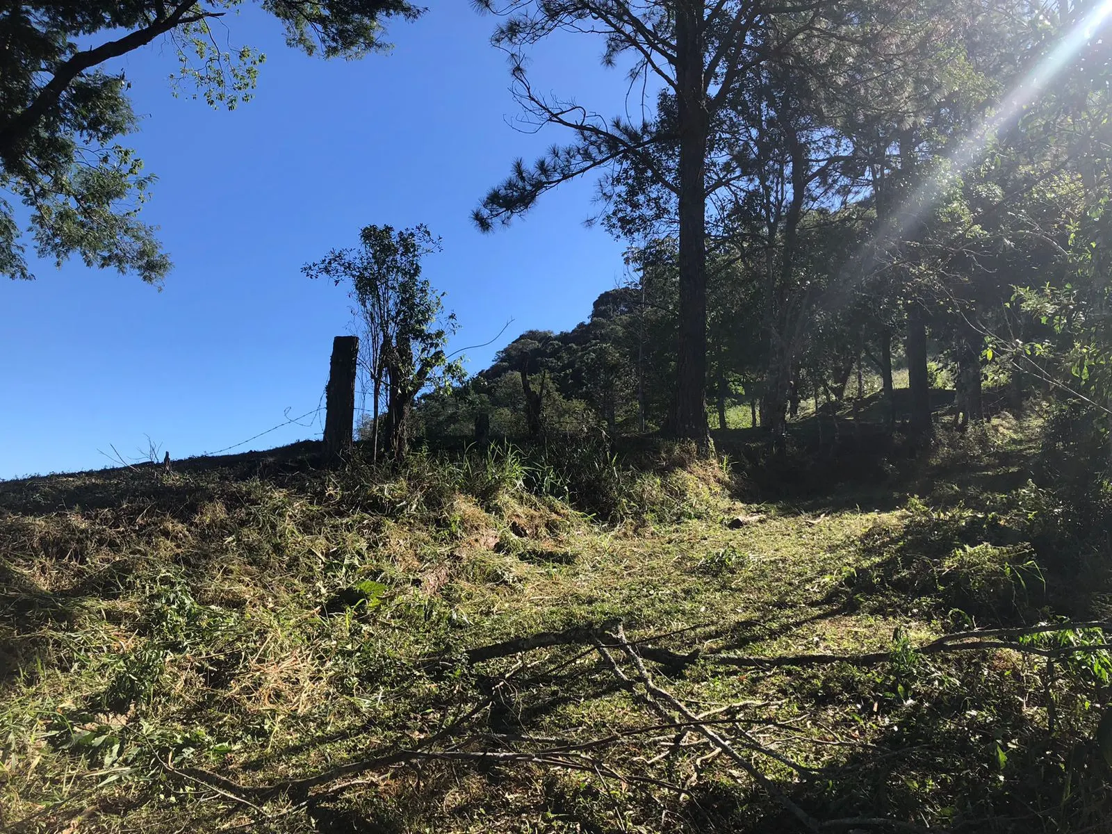 Terreno à venda de 3 ha em Monteiro Lobato, SP, Brasil
