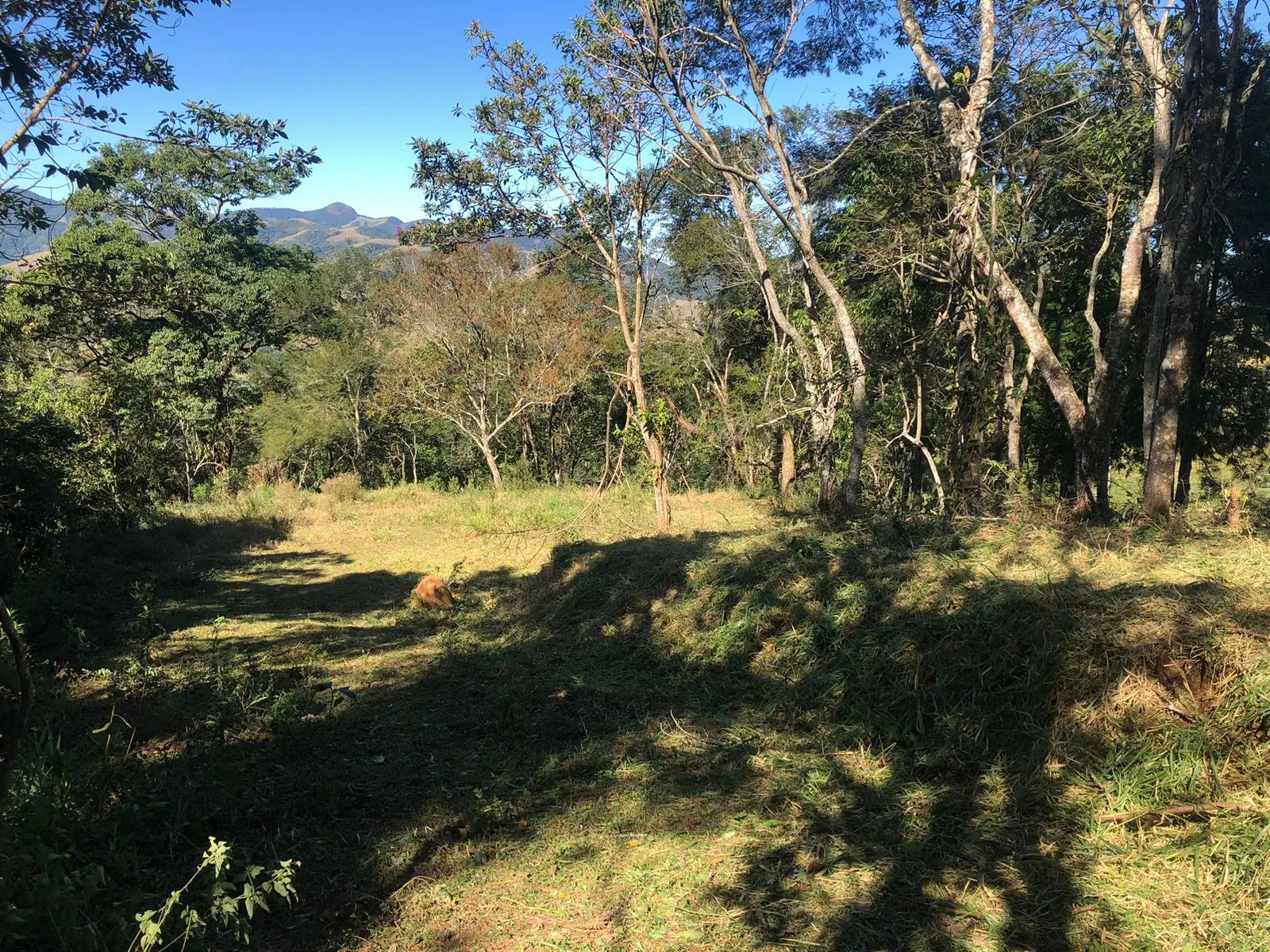 Terreno à venda de 3 ha em Monteiro Lobato, SP, Brasil