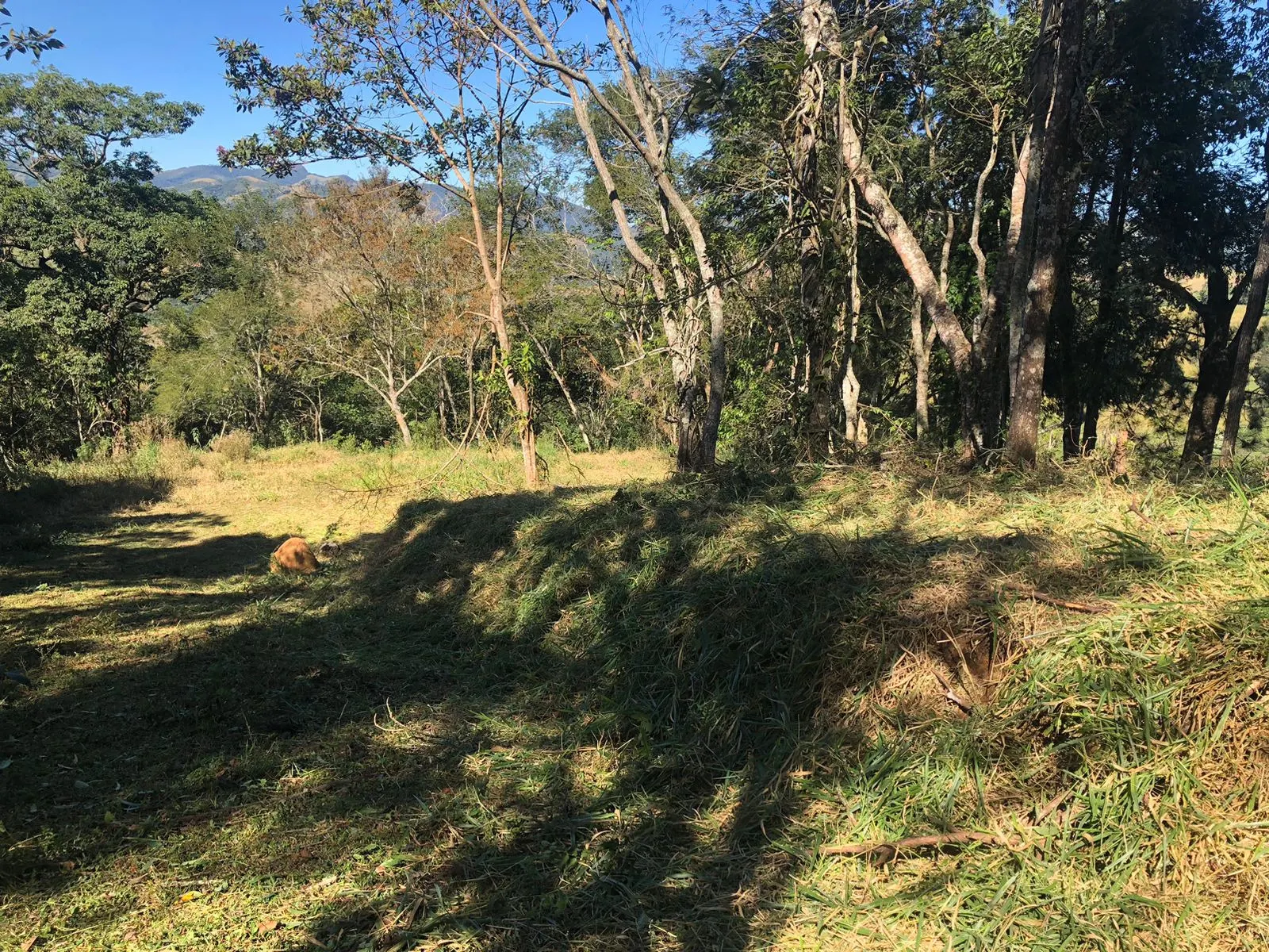 Terreno à venda de 3 ha em Monteiro Lobato, SP, Brasil