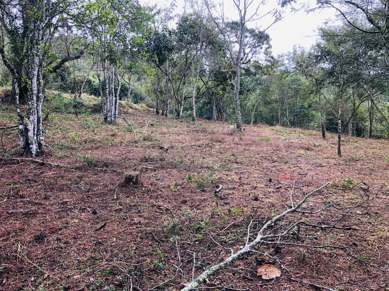 Terreno à venda de 3 ha em Monteiro Lobato, SP, Brasil