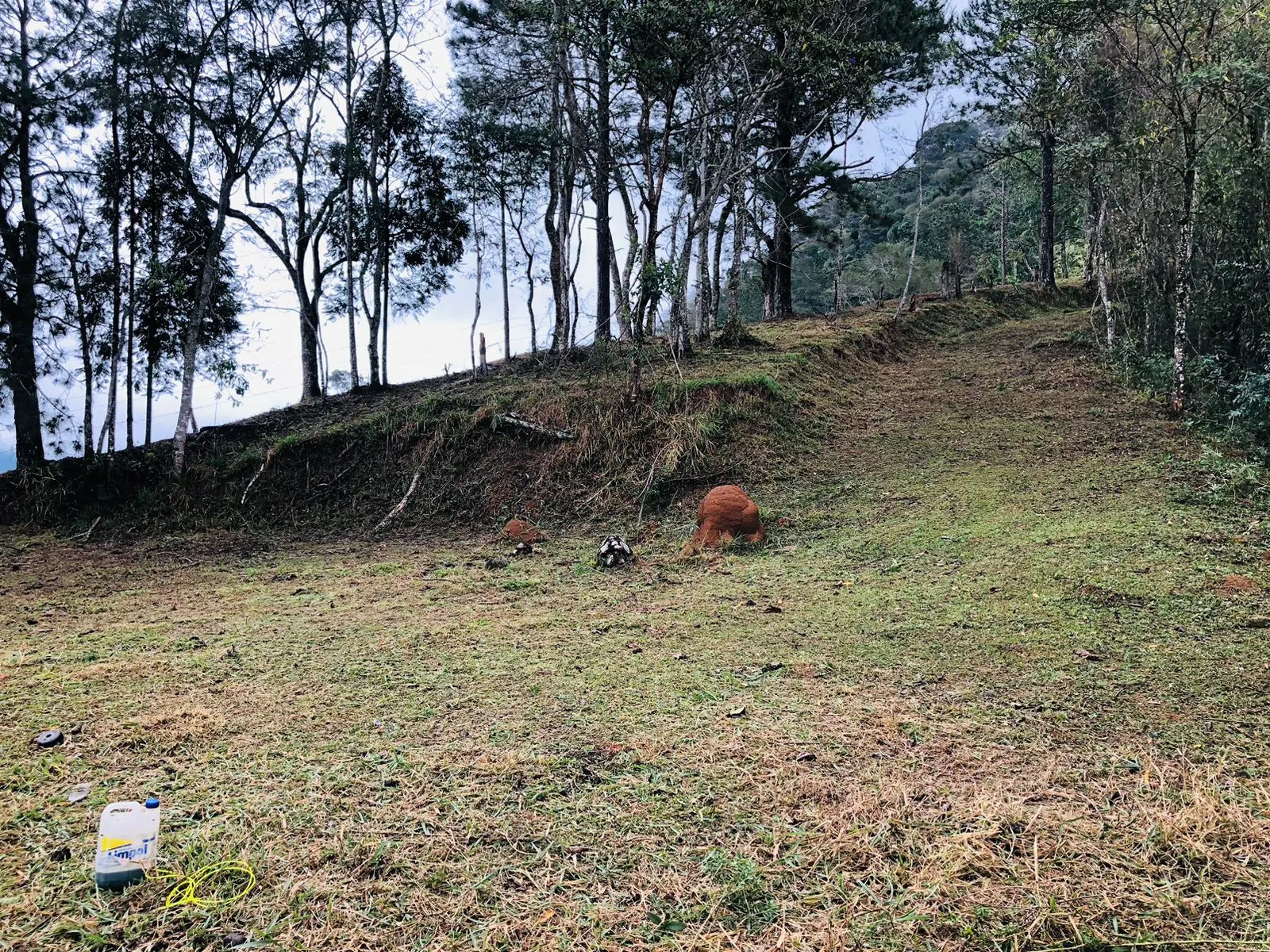 Terreno à venda de 3 ha em Monteiro Lobato, SP, Brasil