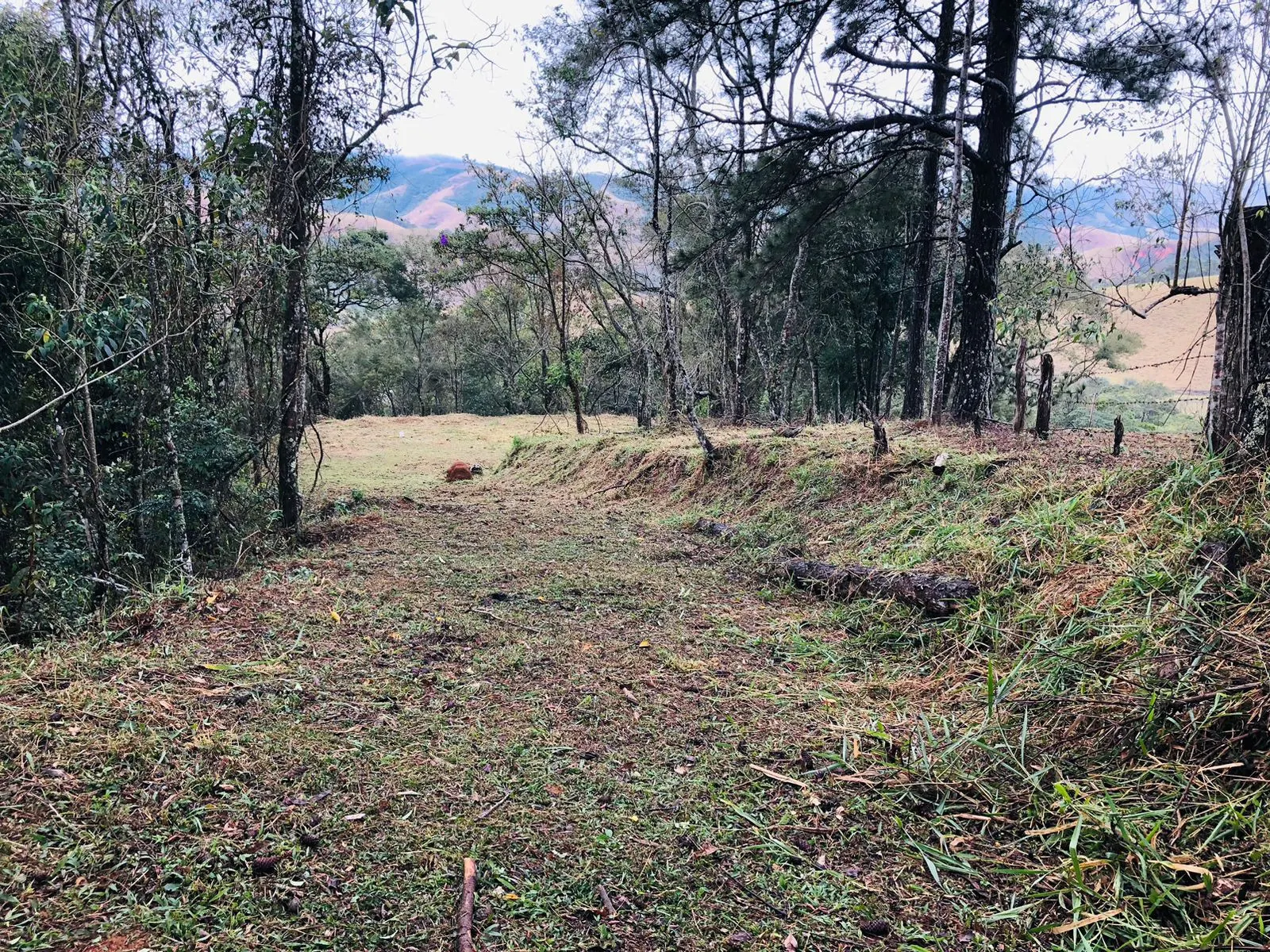 Terreno à venda de 3 ha em Monteiro Lobato, SP, Brasil