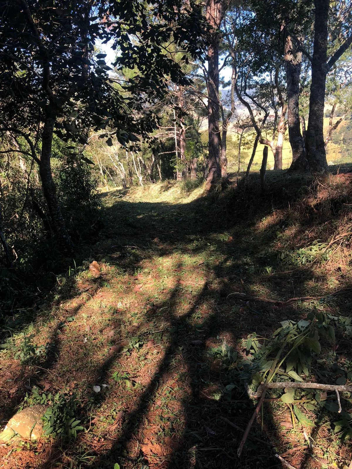 Terreno à venda de 3 ha em Monteiro Lobato, SP, Brasil