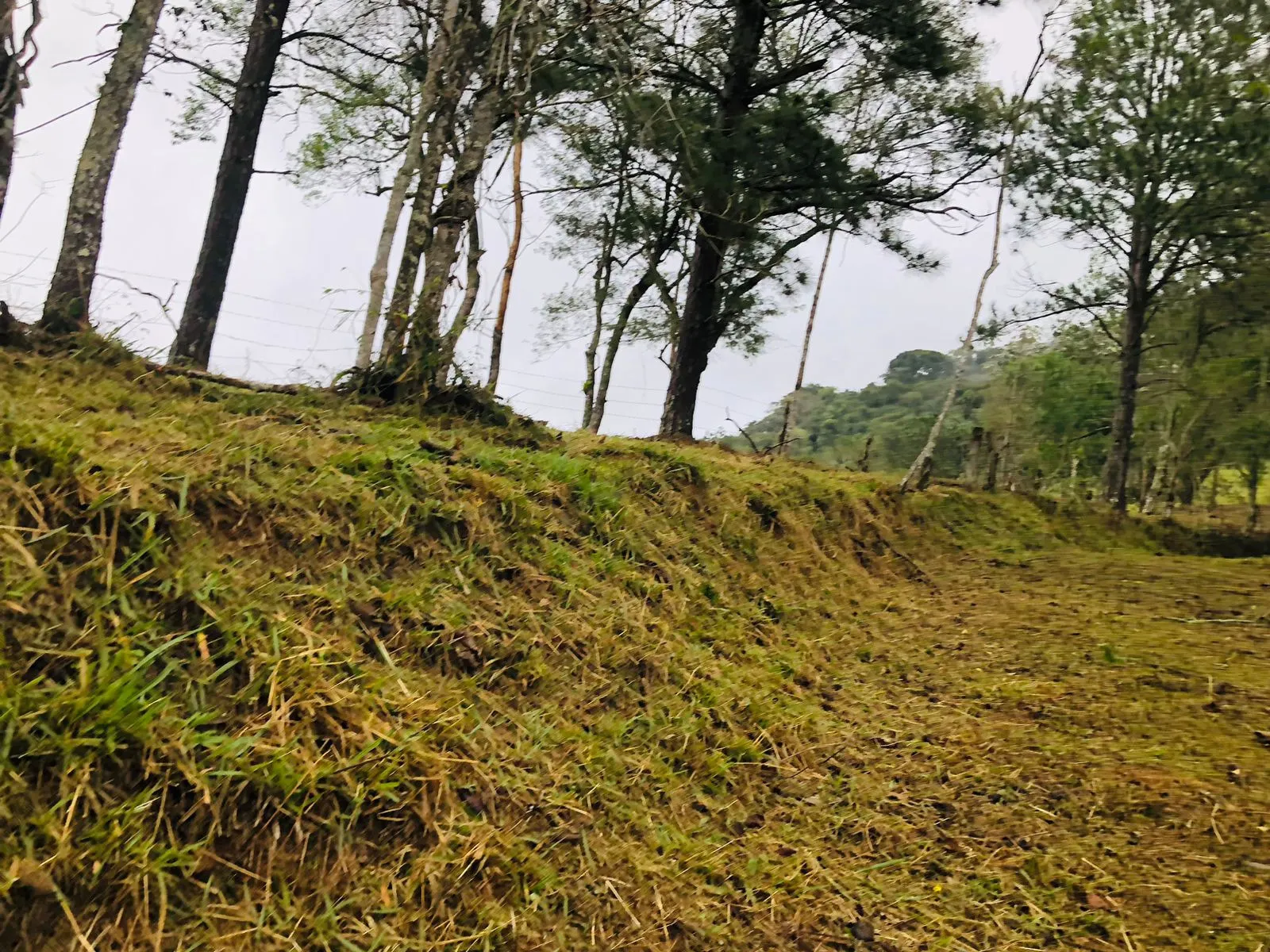 Terreno à venda de 3 ha em Monteiro Lobato, SP, Brasil